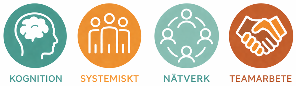 Systemisk kognition team och nätverk